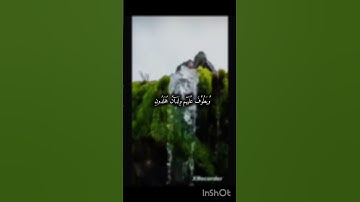 سورة الأنسان...♥🖤🤍💚