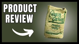 BEST Winter Rye Grass Seed for a Lush Lawn in 2024