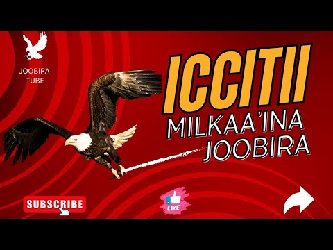 How To Learn From Eagle Iccitii Milkaa Ina Joobira New Afanda5 Oro Motivation