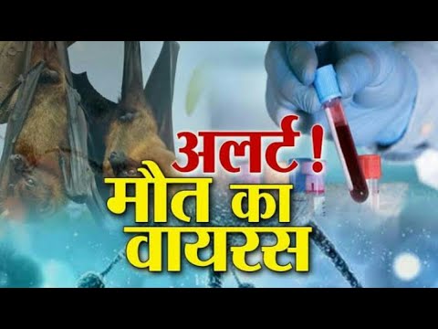 INDIA में बढ़ा जानलेवा Nipah Virus का खतरा, Kerala में हुई 10 लोगों की मौत |