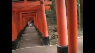 Japan-Fushimi Inari Shrine part 2