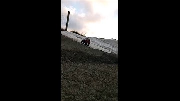 MST CFX-W 1/8 crawler