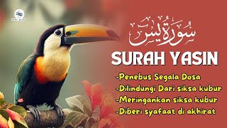 Murottal Merdu Surah Yasin | NGAJI MERDU PENGHAPUS SEGALA DOSA, PELANCAR REZEKI | NGAJI