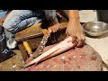 Amazing skills and experience to cut a Big Fish Cutting|| Big Fish Cutting|| amazing skills||