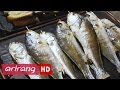 Hansik of The Day(Ep.5) Jesa day – Precious fish dishes _ Full Episode