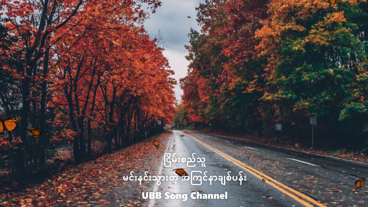 ငြိမ်းစည်သူ မင်းနင်းသွားတဲ့အကြင်နာချစ်ပန်း......