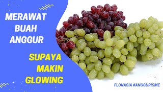 Resep Jitu Perawatan Buah Anggur Supaya Glowing Hasil Panen Maksimal Rody Bekasi