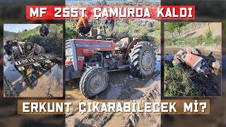 Erkunt Kısmet 55E-B Çamura Batan Mf 255 Tyi Kurtarıyor