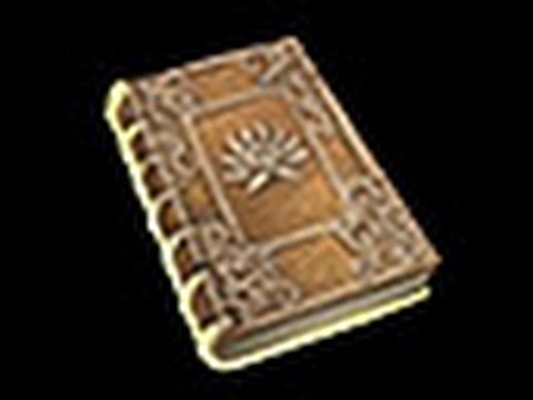 Divinity Original Sin