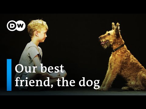 Dogs & us - The secrets of an unbreakable friendship | DW Documentary