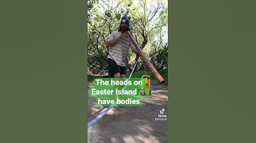 #DidgeYouKnow (part 10) 🗿 #easterisland #history #didgeridoo #shorts #youtubeshorts #didyouknow
