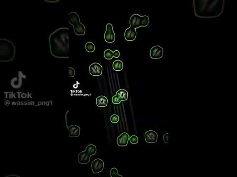 يسمونا مراييل