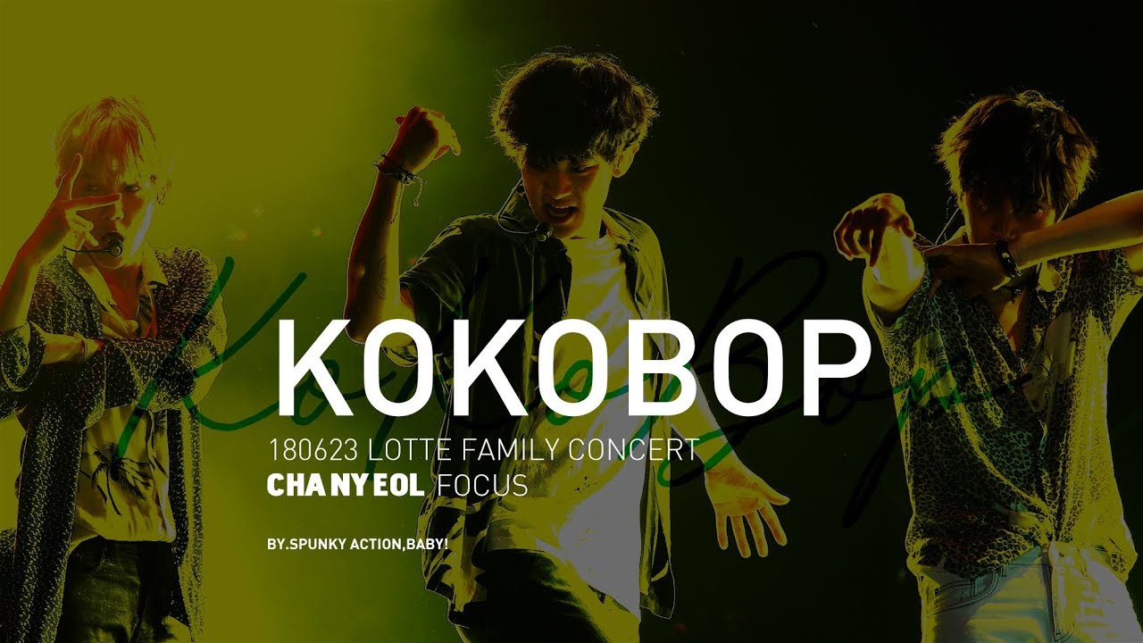 [4K] 180623 Lotte Family Concert (LDF) CHANYEOL KOKOBOP 찬열 FOCUS