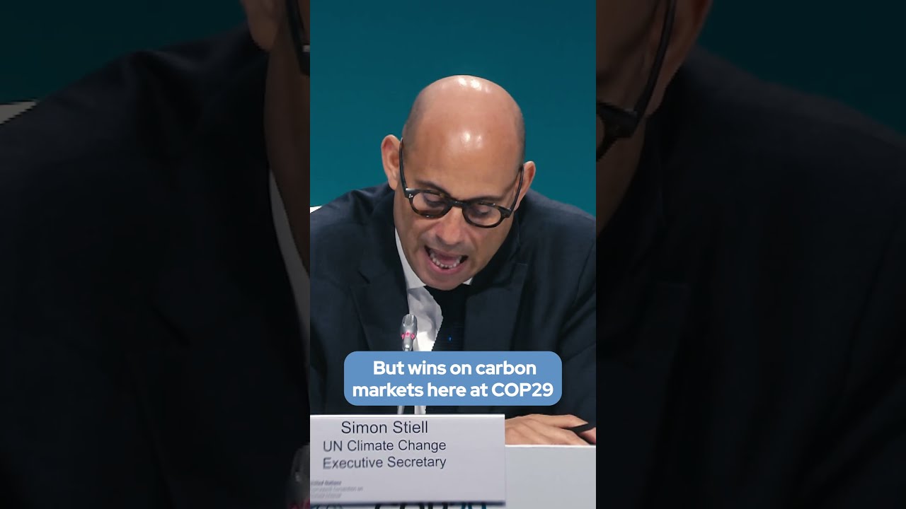 Day 3 At COP29