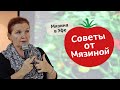 Как вырастить большой урожай томатов. Советы от Мязиной