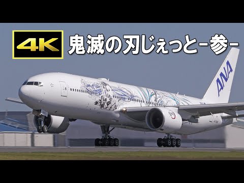 ANA 鬼滅の刃じぇっと弐 BOEING 767-300ER Amazon | 全日空商事 1/200 BOEING 767-300ER JA608A 鬼滅の刃じ