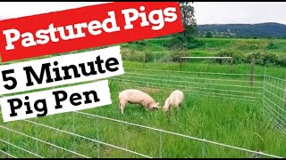 Pastured Pigs: 5 Minute Mobile Pig Pen Using Hog Panel