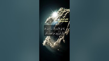 سورة غافر الاية 41-44