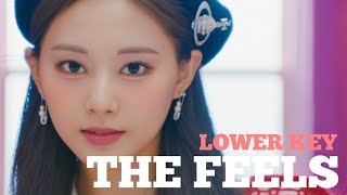 [KARAOKE] The Feels - TWICE (Lower Key) | Forever YOUNG