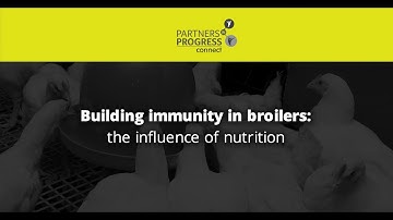 Building immunity in broilers: the influence of nutrition
