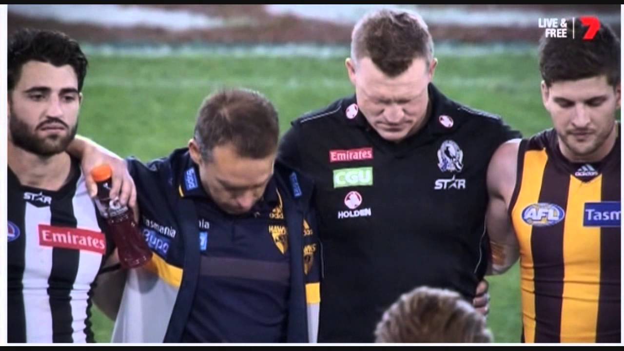 2015 AFL Brownlow Medal Round Highlights 11 19 / Mark Of The Year