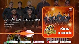 Son De Los Tlacololeros - Banda Los Garañones - Odisa Global Music