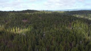 Above the Humboldt Trees: Aerial Humboldt