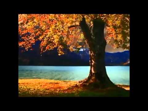 ვიდეო გაკვეთილი შემოდგომა