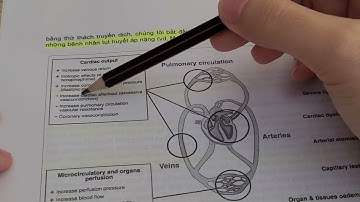 #6 | 10 tips sử dụng vận mạch tối ưu trên bệnh nhân bệnh nặng có tụt huyết áp | Int Care Med 2022