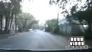 Auto Vines №92