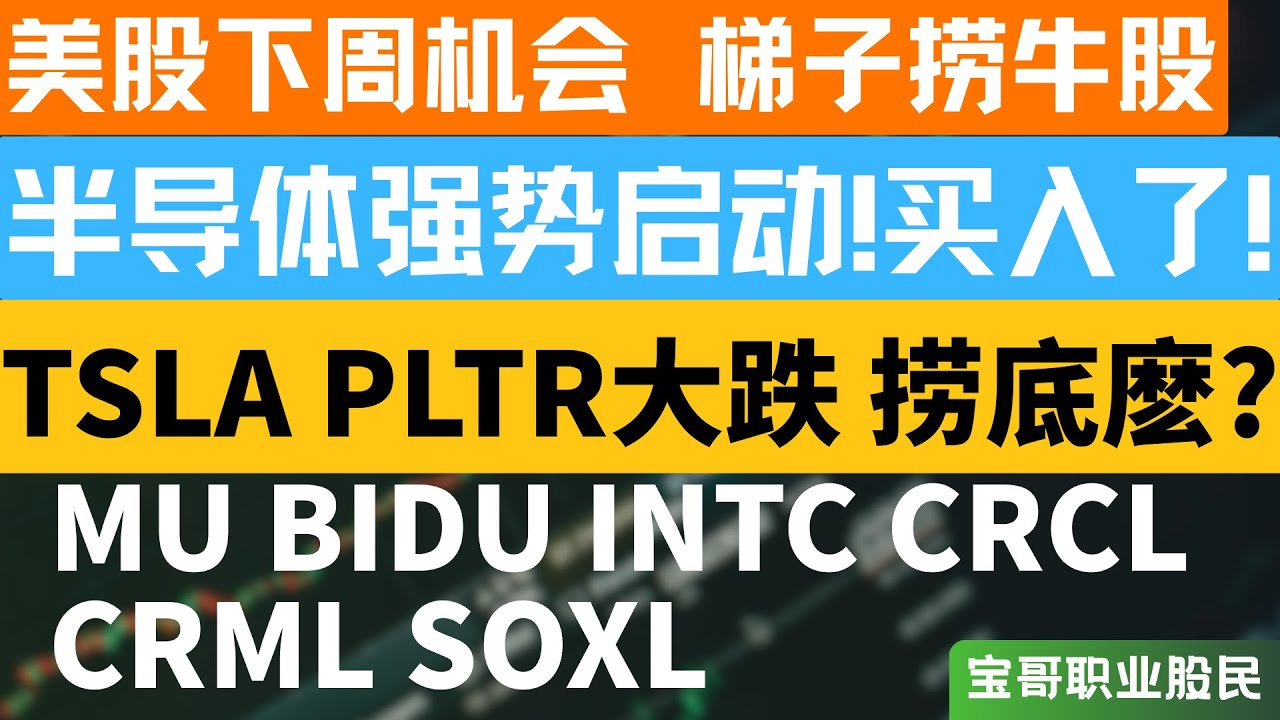 半导体强势启动!买入了! TSLA PLTR大跌 捞底麽? MU BIDU INTC CRCL CRML SOXL！01022026 #美股 #股票  #美股分析 #投資