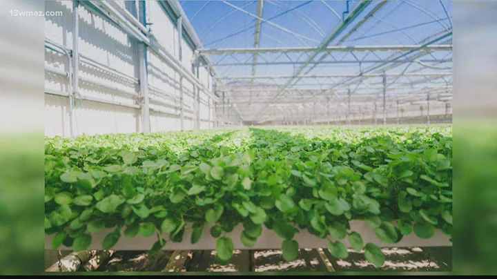 Warner Robins to get $18 million greenhouse