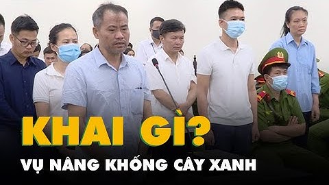 Lời khai của giám đốc trốn nợ về mối quan hệ với cựu chủ tịch Nguyễn Đức Chung
