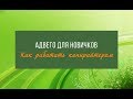 Как работать копирайтером на бирже Advego || Адвего для новичков