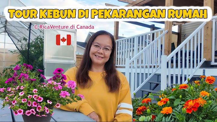 Tour Kebun Di Pekarangan Rumah, Kebun Sayuran Di Belakang Rumah. #kebunbelakangrumah