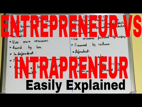 Entrepreneur vs Intrapreneur|Difference between entrepreneur and intrapreneur