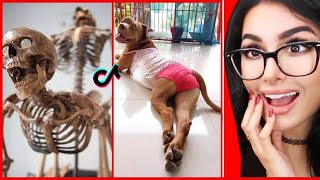 Tiktok Videos You Shouldnt With...