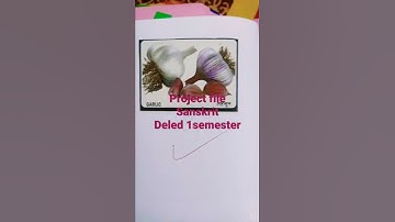 deled first semester project file Sanskrit