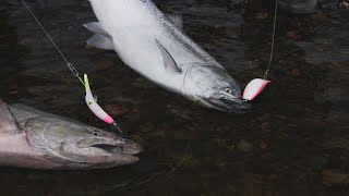 ALASKA Salmon Fishing DREAM TRIP! | Nushagak River | Kingfisher Lodge | PART 3 of 3