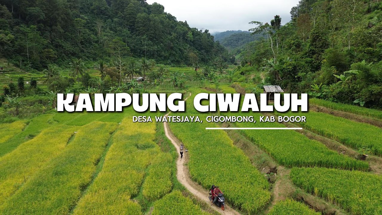 Keindahan Kampung Wisata Ciwaluh, Wates Jaya, Cigombong, Kabupaten Bogor