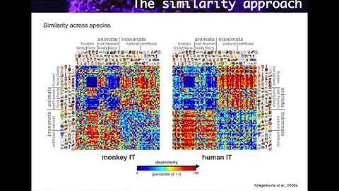 1. Representational Similarity Analysis (RSA)