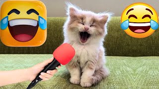 New Funny Animals😹🤣 Funniest Cats and Dogs Videos😂😹 -CatBlatt by CatBlatt 791 views 1 year ago 8 minutes, 55 seconds