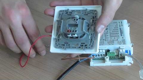 DALI driver wiring - tutorial