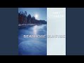 Miniature de la vidéo de la chanson Seashore Sunrise