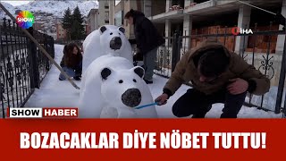 Kardan Anne Ve Yavru Ayı Yaptı