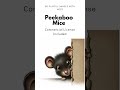 Peekaboo Mice Adorable Collection Of 80 Playful Small Mice Images Peekaboo Mice Adorable Collection Of 80 Playful Small Mice Images