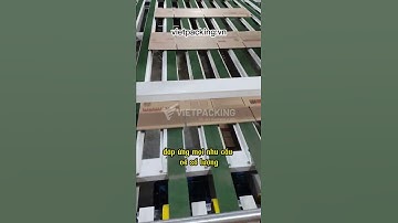 Dây chuyền sản xuất và in thùng carton, tự động, nhịp nhàng, in nhanh đồng đều trên từng sản phẩm