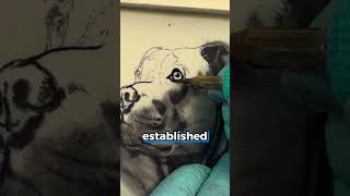 How to tattoo a Dog Portrait with short Fur.