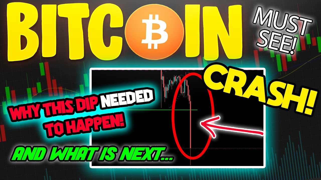 BITCOIN CRASHES & THIS IS WHY YOU SHOULD NOT WORRY - YouTube