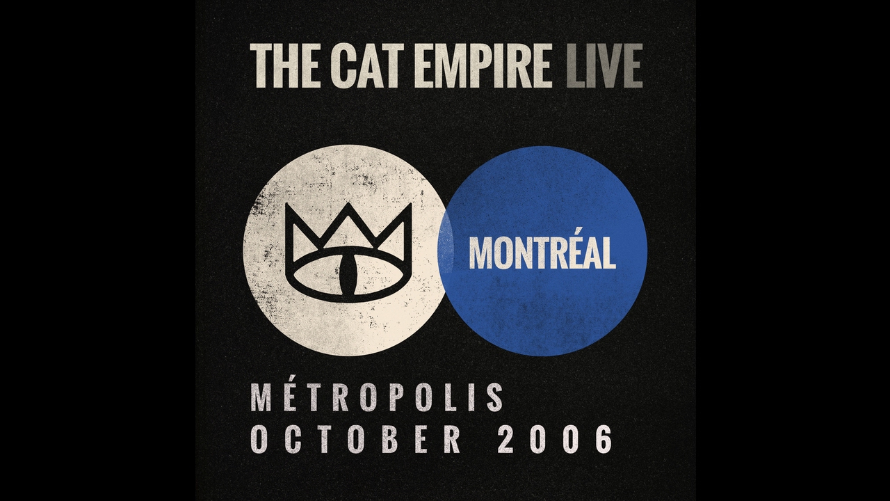 The cat empire live. The lost song the cat перевод. Cat empire читы. The lost song. The lost song the cat перевод.